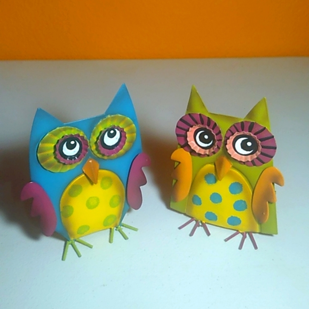 🖐🏽 Owl decor